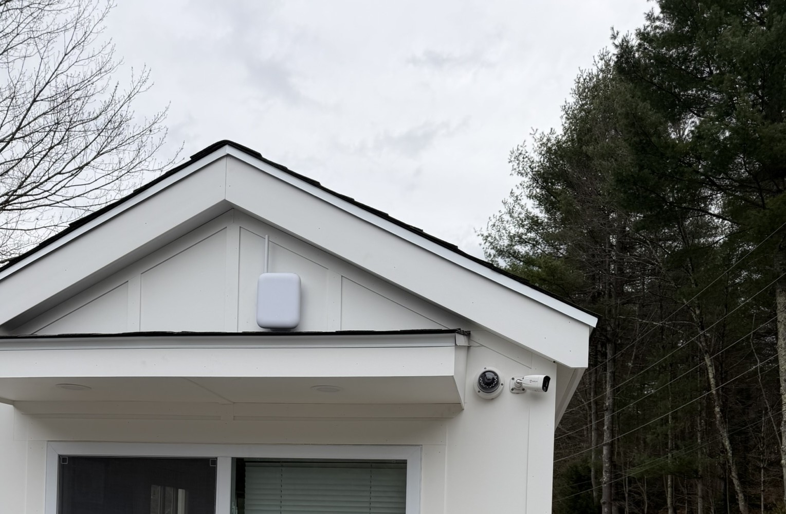 Cameras and access point